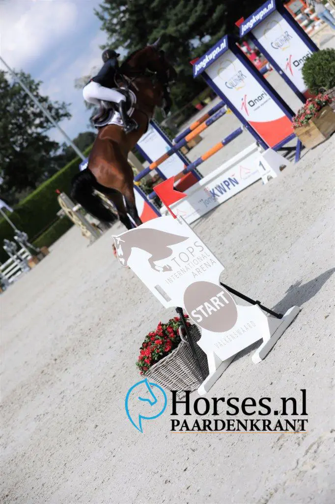 Blom merriespringen: Iris en Shane O’Meara aan kop in ZZ featured image