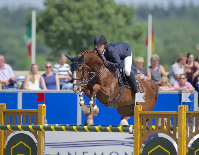 Pim Mulder wint jongepaardenrubriek featured image