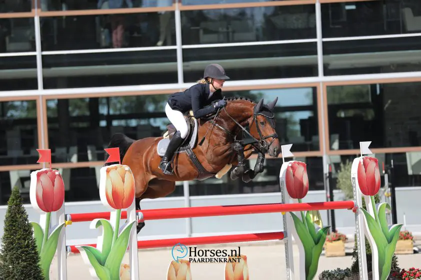 Ludger Beerbaum investeert in Nederlands talent featured image