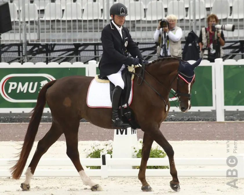 Pepo Puch’s Para-Olympische paard Fine Feeling S overleden featured image