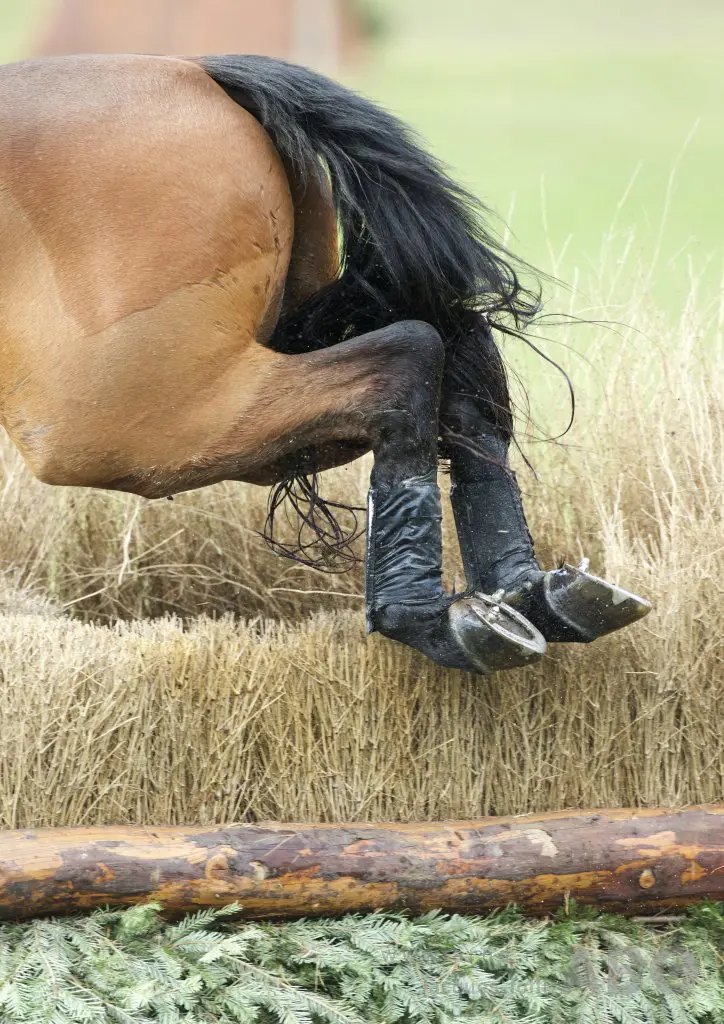Noble Bestman overleden: ‘Hij had het hart van een leeuw’ featured image