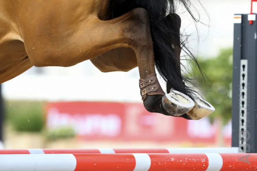 Jumping Indoor Maastricht gaat virtueel featured image