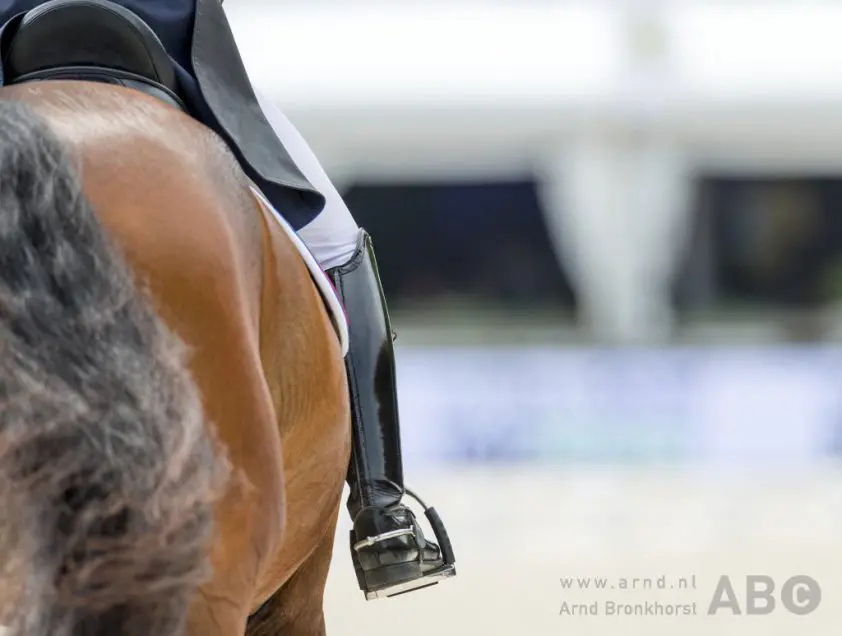 Pavo Cup Dronten: Poleposition Texel en Secret Star bovenaan vijf-en zesjarigen featured image