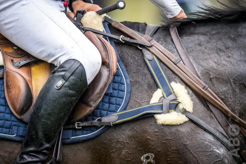 Dr. Wilhelm Büsing (102) overleden featured image