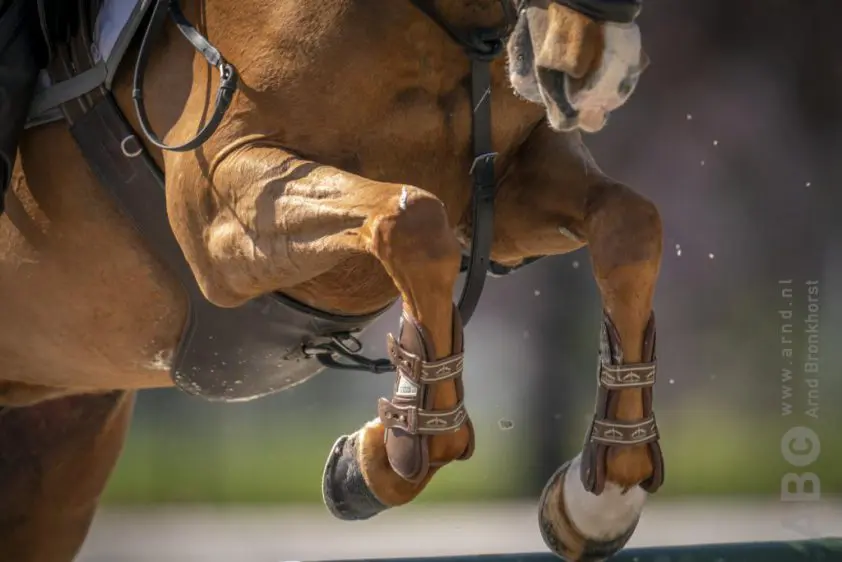 Nederlandse amazones beginnen dag met top tien-klasseringen featured image