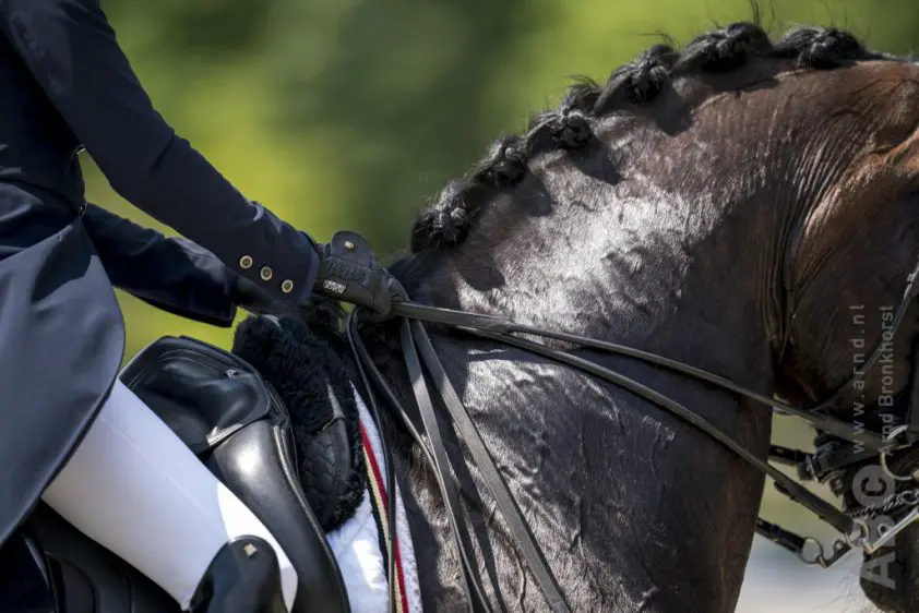 Rhinopneunomie-uitbraak op Schindlhof in Oostenrijk featured image