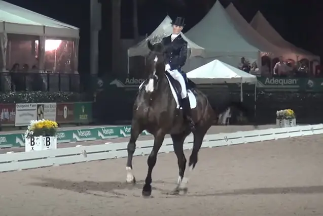 Kelly Layne’s KWPN’er Udon P overleden featured image