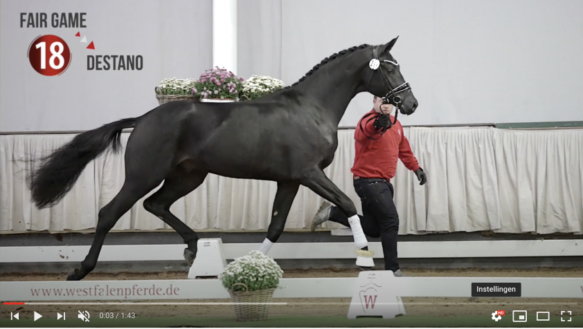 HK Westfalen dressuur: kampioen van Fair Game featured image