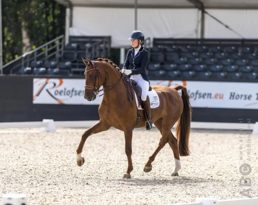 Stal van Esra de Ruiter verkocht featured image