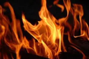 Grote brand bij stal in Noord-Brabant featured image