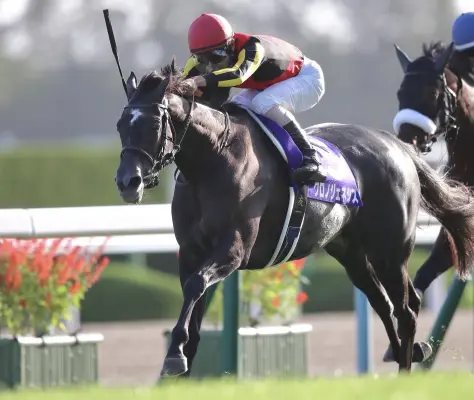 Chrono Genesis wint laatste Group I ren dit jaar, de Arima Kinen featured image
