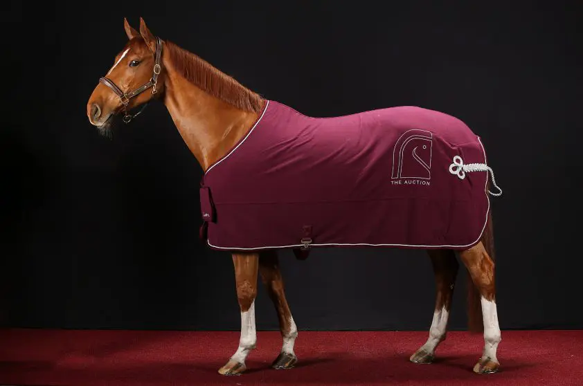 300.000 voor Emerald-dochter in Auction Winter Sale featured image