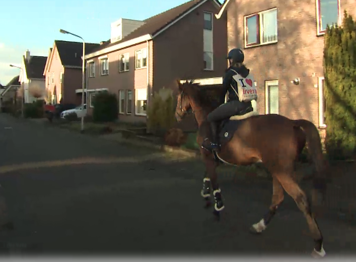 Lingeriezaak Livera in Raalte bezorgt bestellingen per paard featured image