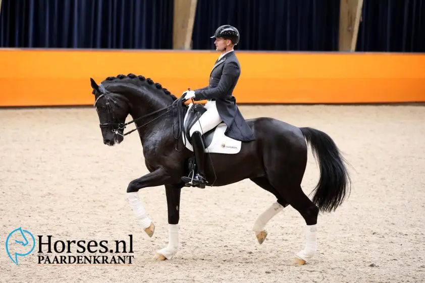 KWPN-hengst Invershin duikt op onder Italiaanse amazone featured image