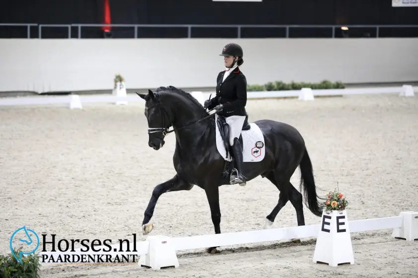 Startlijst derde observatietraining WK Jonge Dressuurpaarden bekend featured image