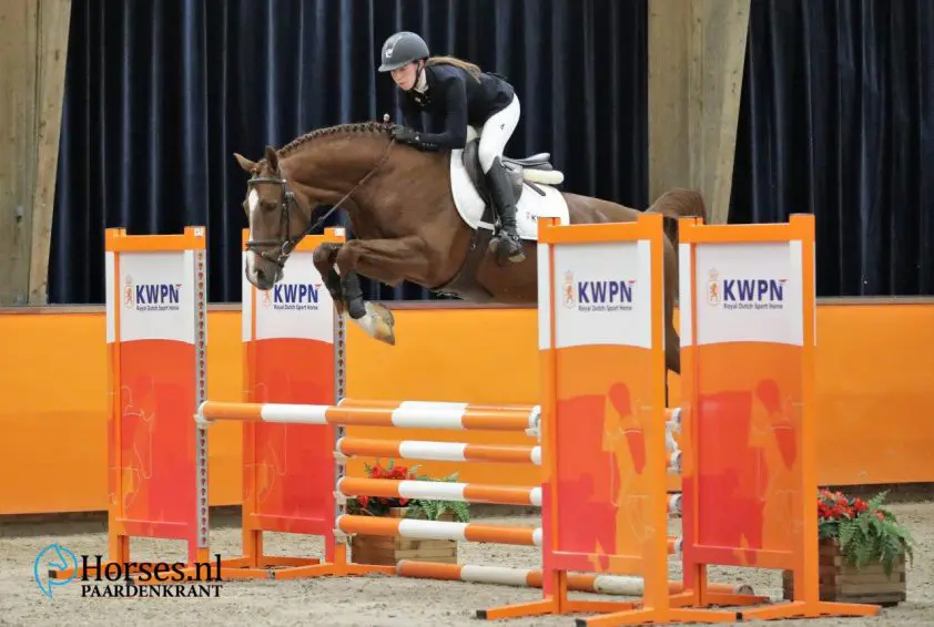 Blom Cup: 61 vijfjarigen houden de teller op nul in eerste onderdeel featured image