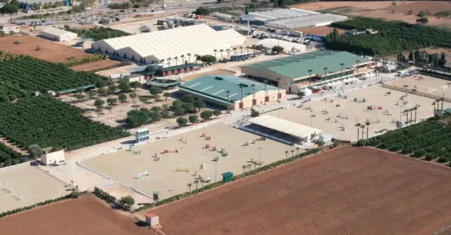 FEI publiceert rapport over rhino-uitbraak Valencia: ‘grote fouten gemaakt’ featured image