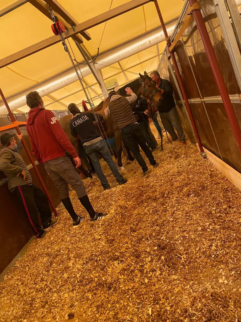 Diepgaand rhinopneumonie: waarom duikt het steeds weer op? featured image