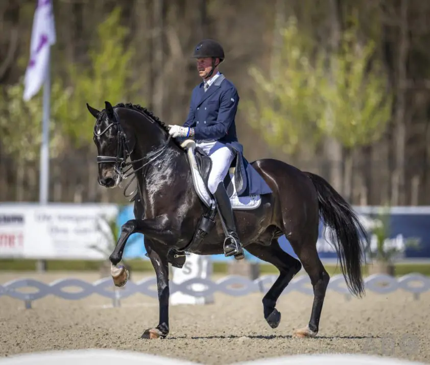 Vincent van Gasselts toppaard Delacroix verkocht featured image