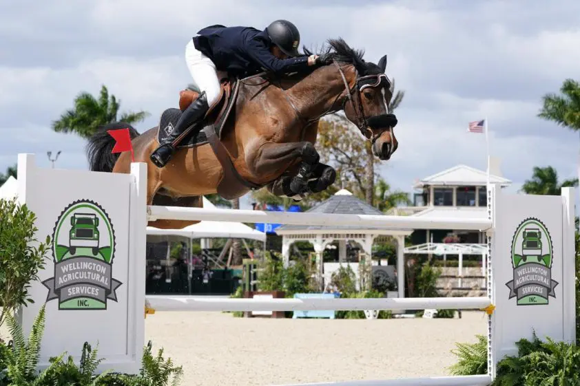 Adam Prudent wint GP Wellington met Baloutinue featured image