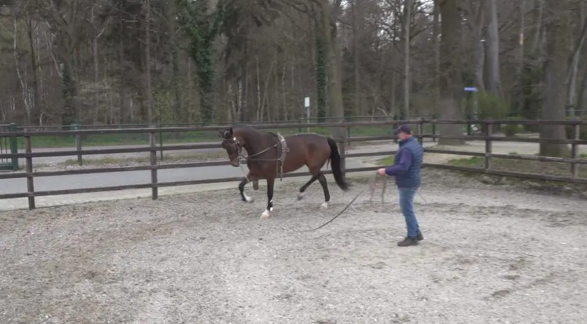 Chantal en Robbie van Dijk