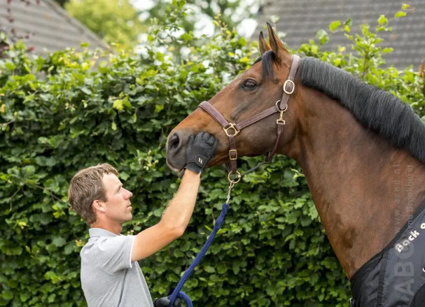 Video: Voeren met Maikel van der Vleuten featured image