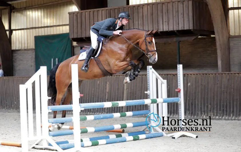 IBOP De Radstake: Chapeau TN-dochter Marcella naar 80 punten featured image