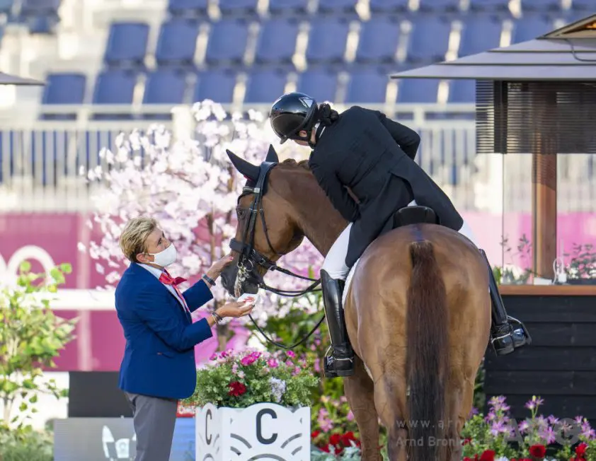 FEI richt task force op om bloedregel in verschillende disciplines te harmoniseren featured image