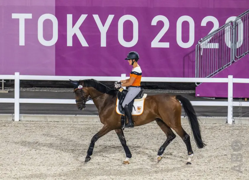 Voorspel de winnaars van de Olympische Spelen: eventing! featured image