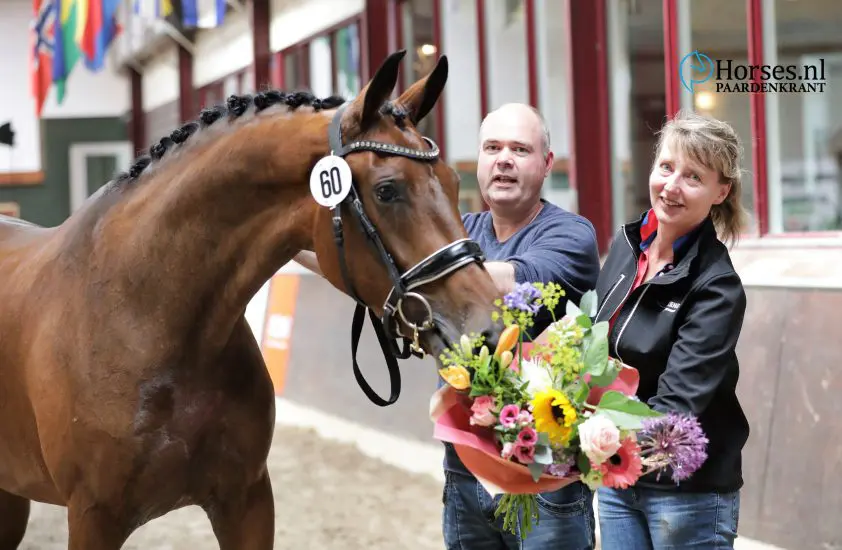 SK Appingedam: 15 dressuurmerries ster en twee NMK-tickets featured image