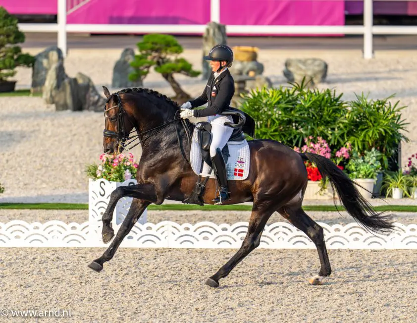 Blue Hors Zack neemt afscheid van het publiek featured image