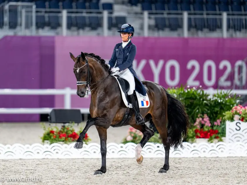 Frans dressuurteam WK Herning: ‘Jong team met ervaren kopvrouw’ featured image