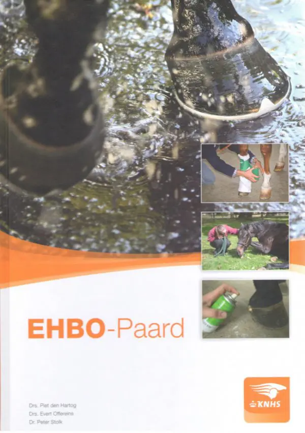 EHBO - Paard