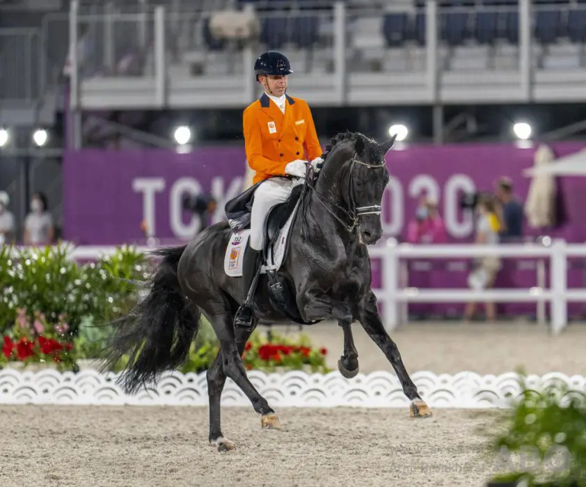 IBOP Huijbergen: Hoogste score voor Dream Boy-dochter featured image