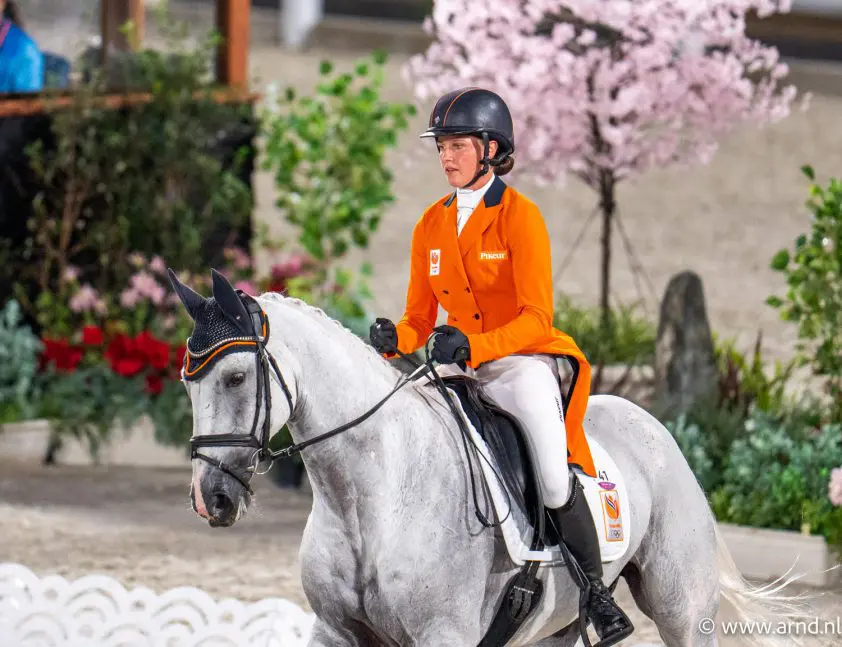 Groot Brittannië opent sterk op EK Eventing, Heffernan voorlopig vijfde featured image
