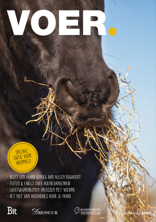 e-Magazine - VOER. 2019