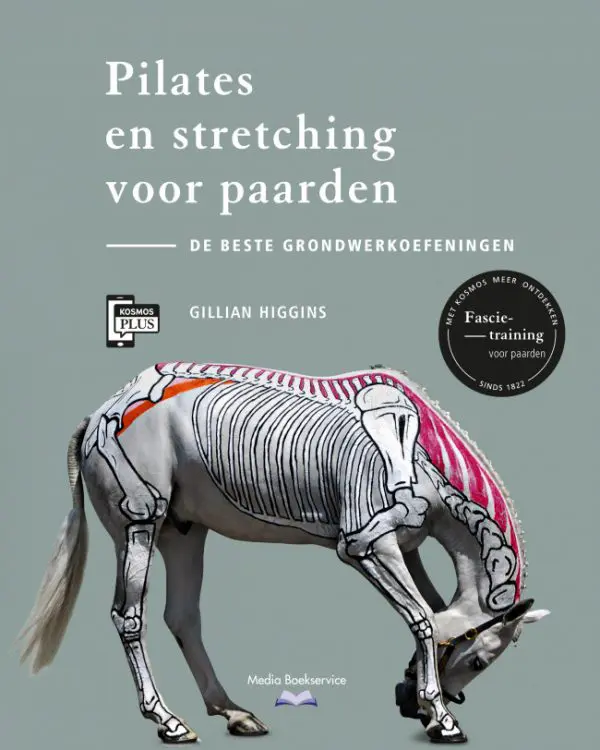 Pilates en stretching voor paarden