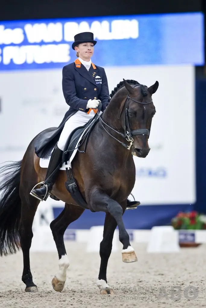 Grand Prix-hengst Future overleden featured image