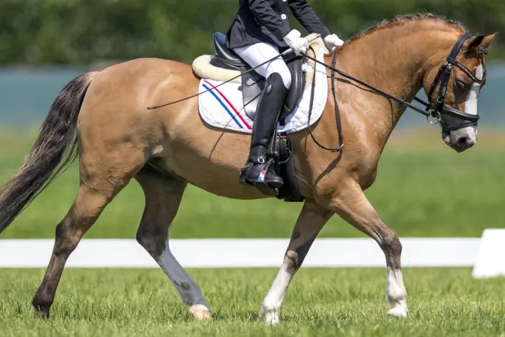Laat je horen! ‘Het kan zo mooi zijn!’ featured image