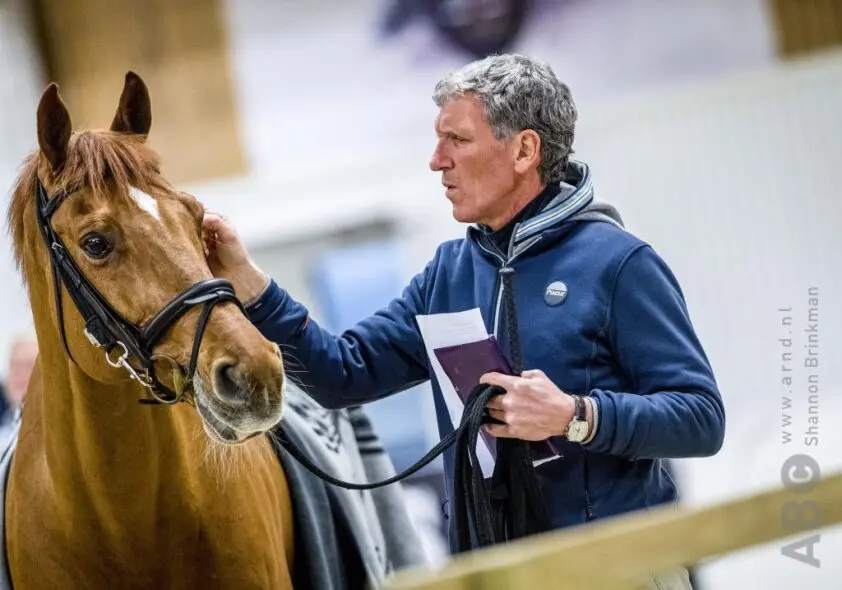 OM begint onderzoek tegen Ludger Beerbaum featured image