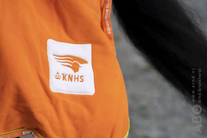 Vijf springkampioenen gehuldigd op Hippiade featured image