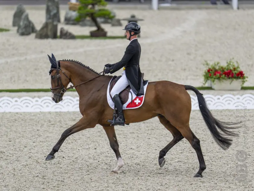 Commentaar in NRC: ‘Een ruiter weet wat hij zichzelf aandoet op de Spelen, het paard niet’ featured image