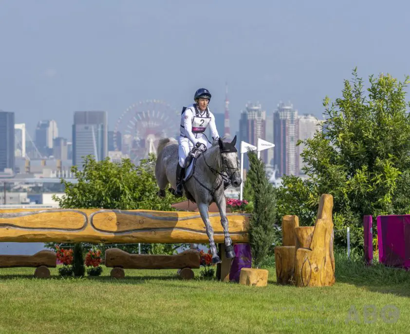 Galileo Nieuwmoed leidt KWPN naar derde positie op WBFSH-stamboekranking featured image