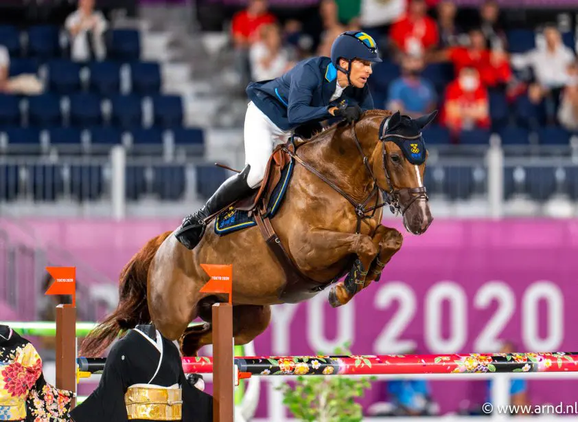 De ontwikkeling van… King Edward featured image