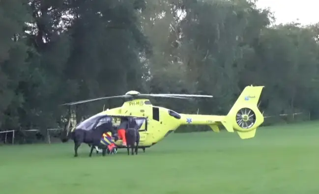 Horses.nl Jaaroverzicht 2021: Video’s met een goede afloop featured image