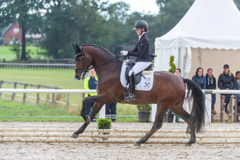 BuCha: Rock Forever-zoon Rod Laver aan kop in kwalificatie vijfjarigen featured image
