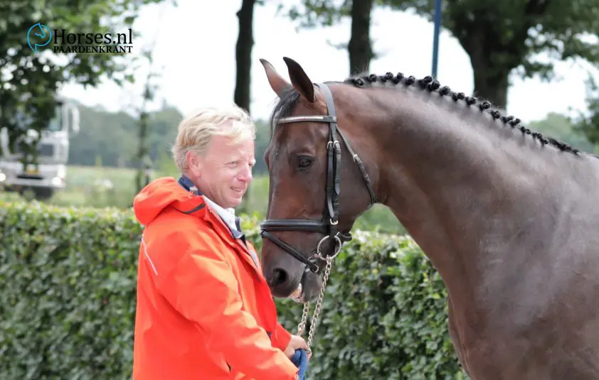 Gastcolumn Roelof Bril: Meer richting geven featured image