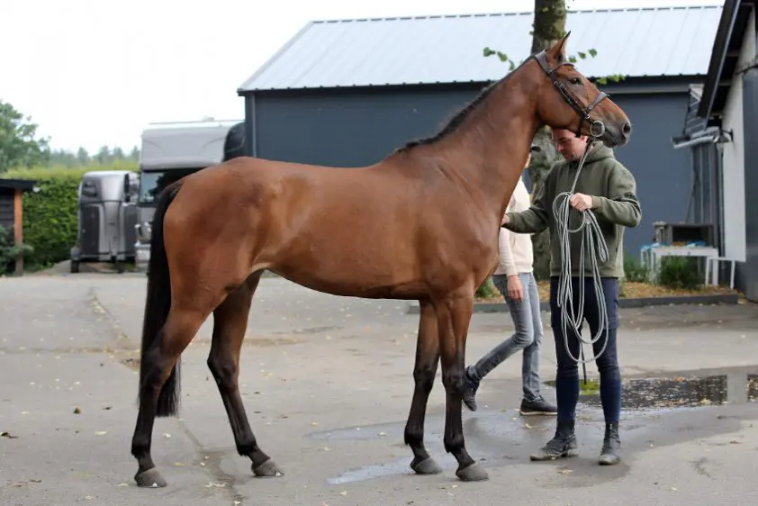 Thuisinspectie NRPS levert nog tien sterren op featured image