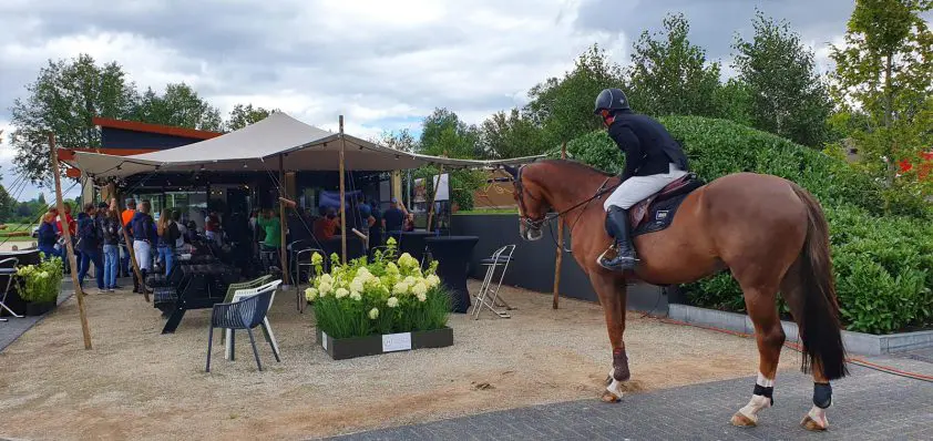 Gerco Schröder wil niks missen van zijn collega’s in Tokio en kijkt te paard featured image