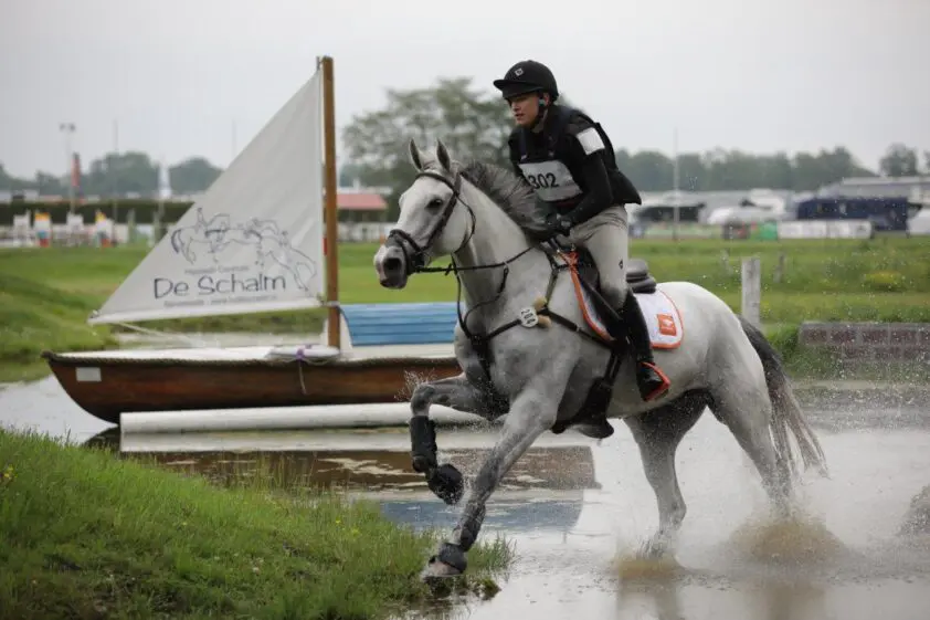 Bonmahon Silver Vixen van Bjinse Venderbosch verkocht aan Kato de Smidt featured image